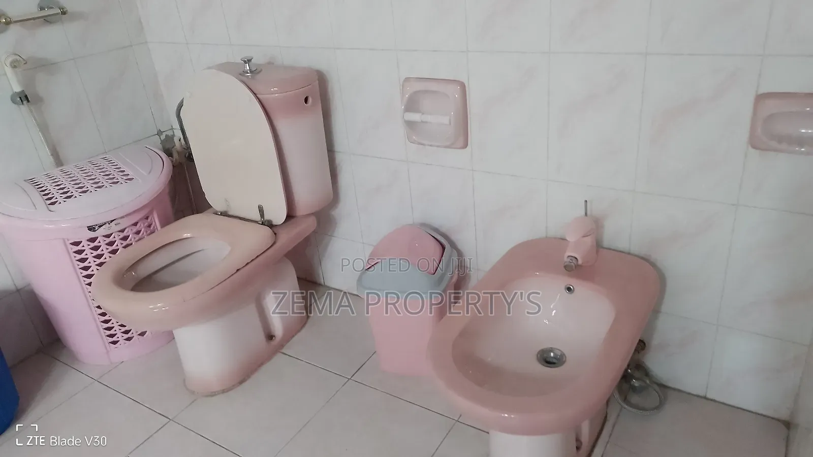 Furnished 4bdrm House in Zema, Bole for rent