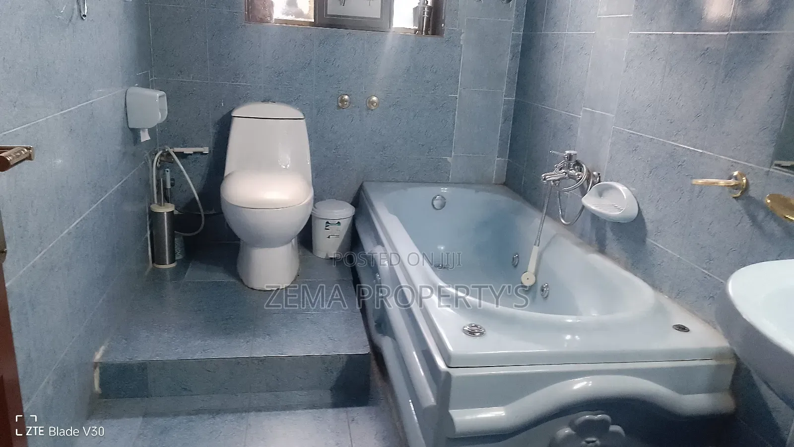 Furnished 4bdrm House in Zema, Bole for rent