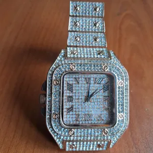 Cartier Ice Watch