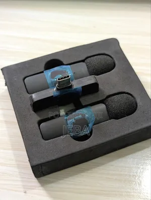 Photo - Wireless Type C Microphone