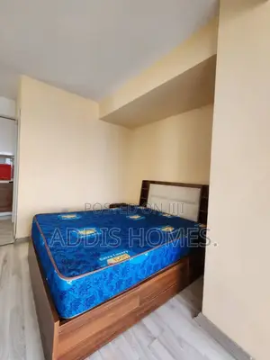 Furnished Studio Apartment in Bole for rent