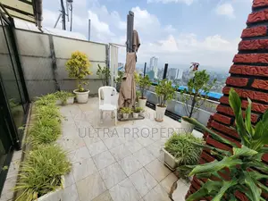 Furnished Studio Apartment in Bole for rent