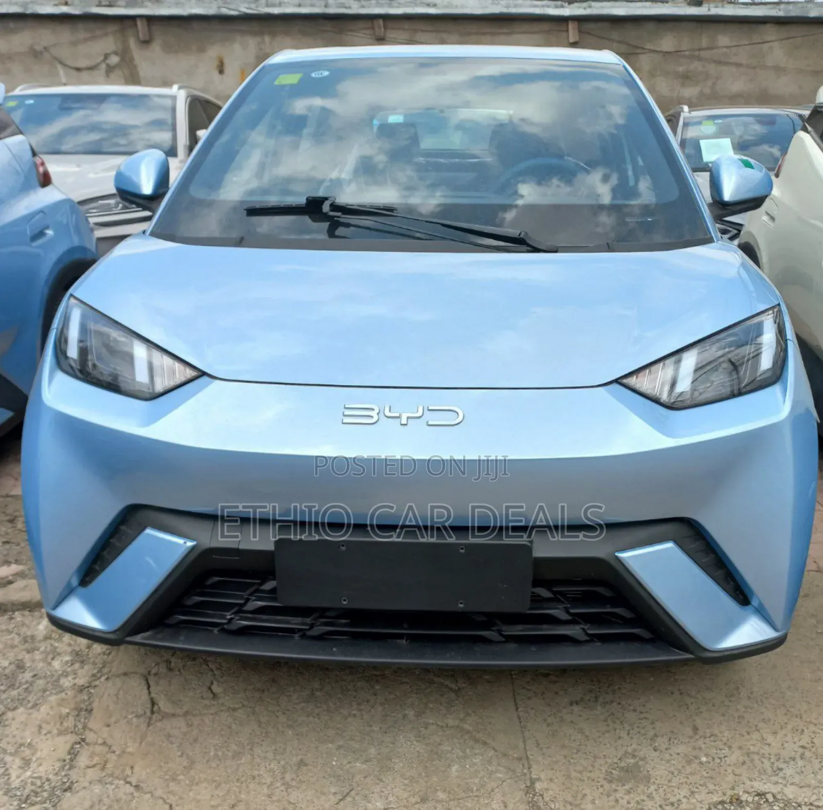 New BYD Seagull 2025 Blue