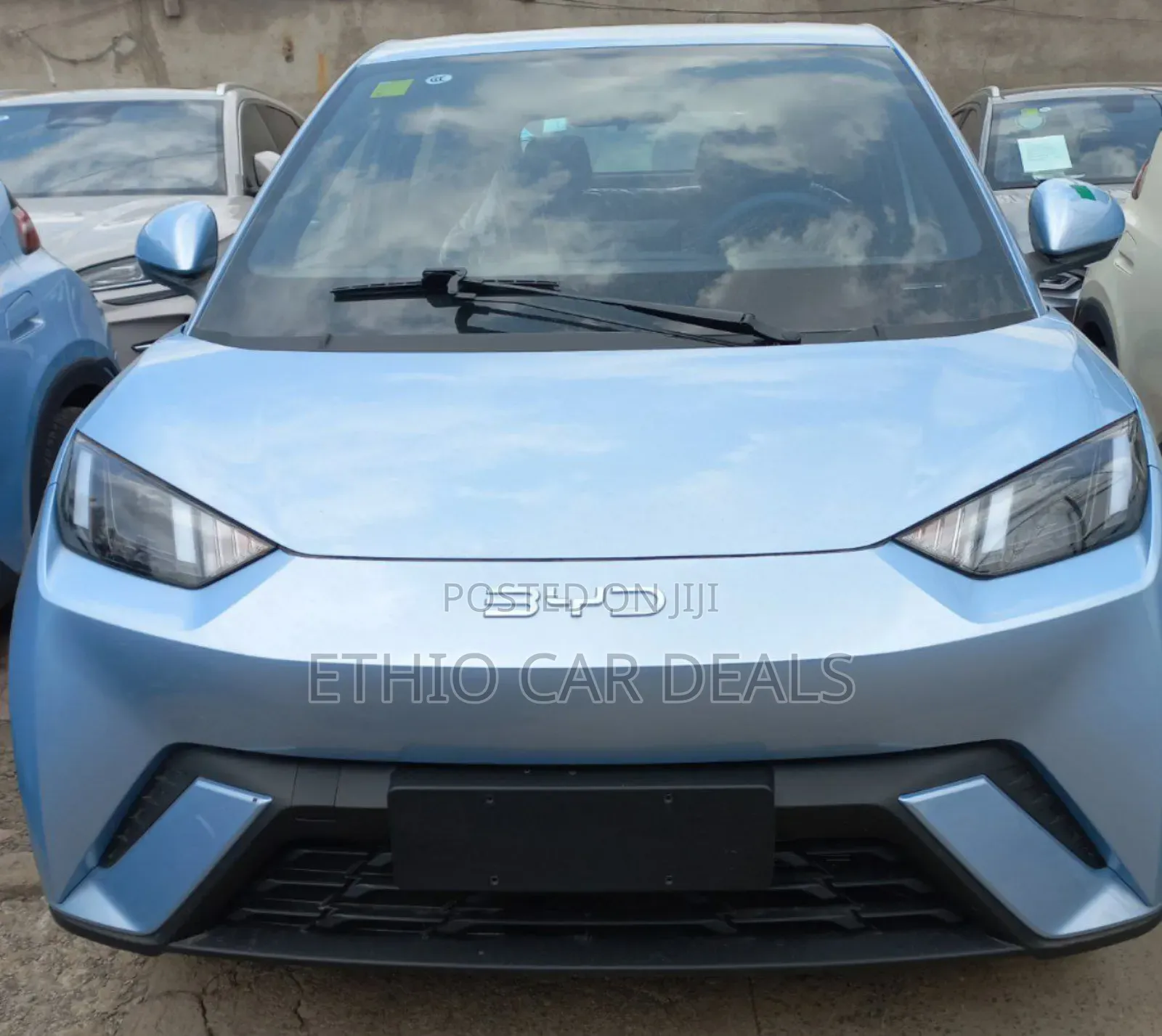 New BYD Seagull 2025 Blue