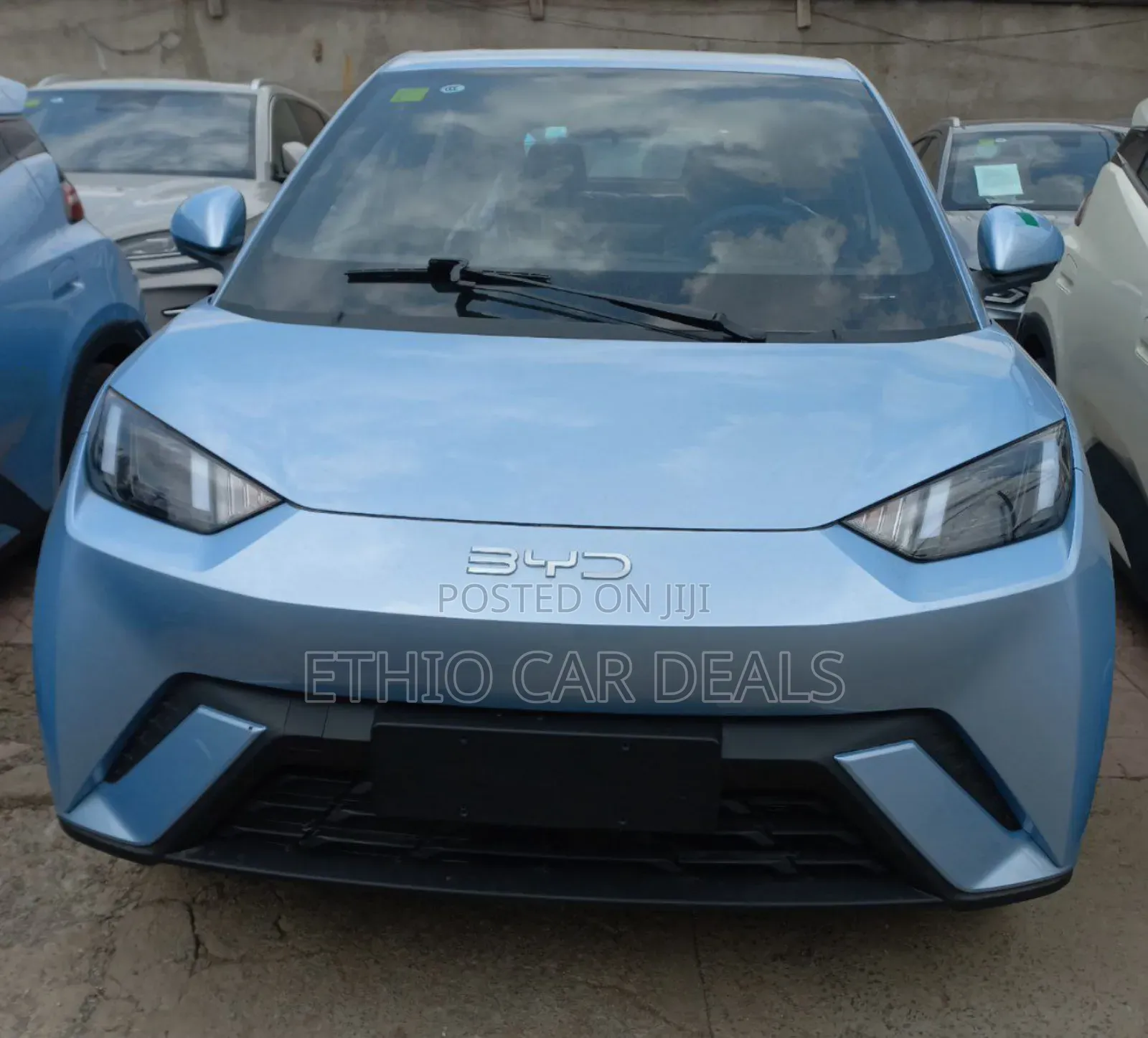 New BYD Seagull 2025 Blue