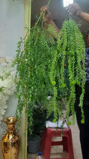 Harege or Artificial Flower