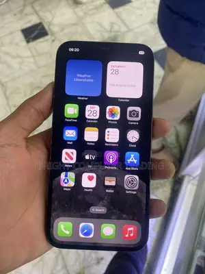 Apple iPhone 11 Pro Max 256 GB Gray