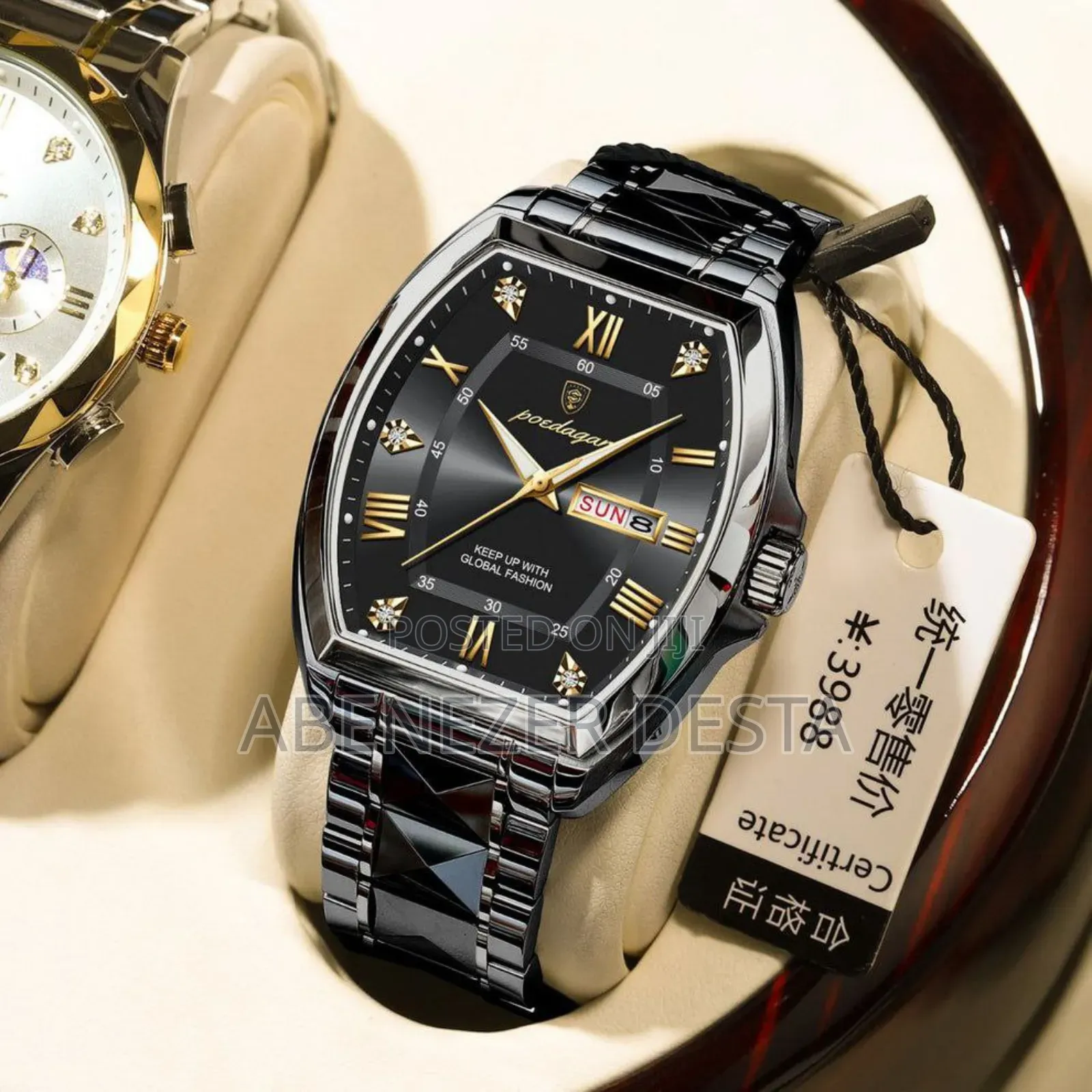 Poedagar Luxury Watch for Man Elegant