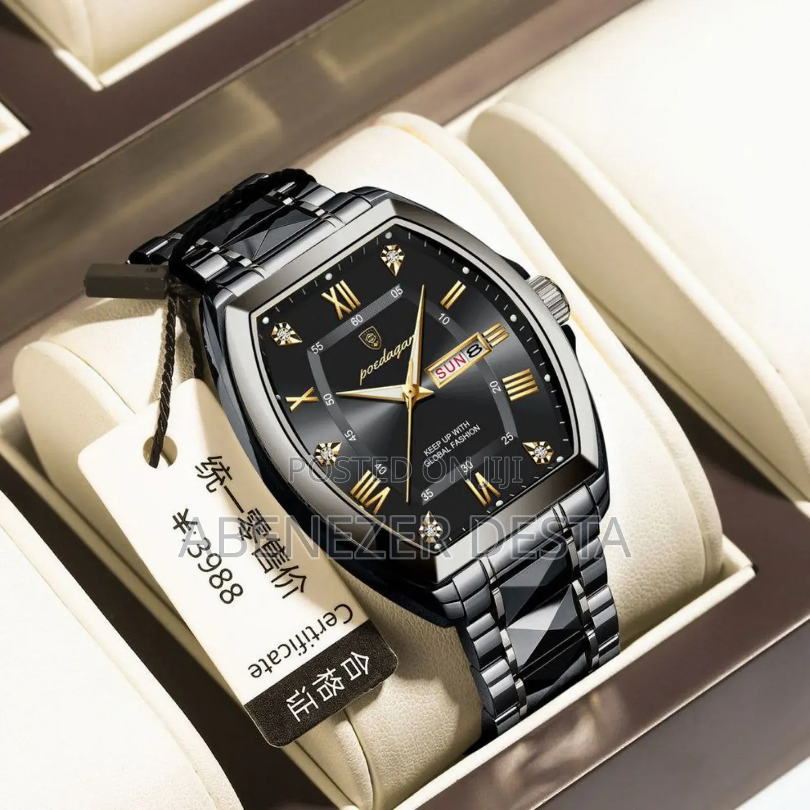 Poedagar Luxury Watch for Man Elegant