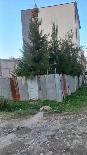 አያት አየር መንገድ አካባቢ 300ካሬ የቦታ ሺያጭ