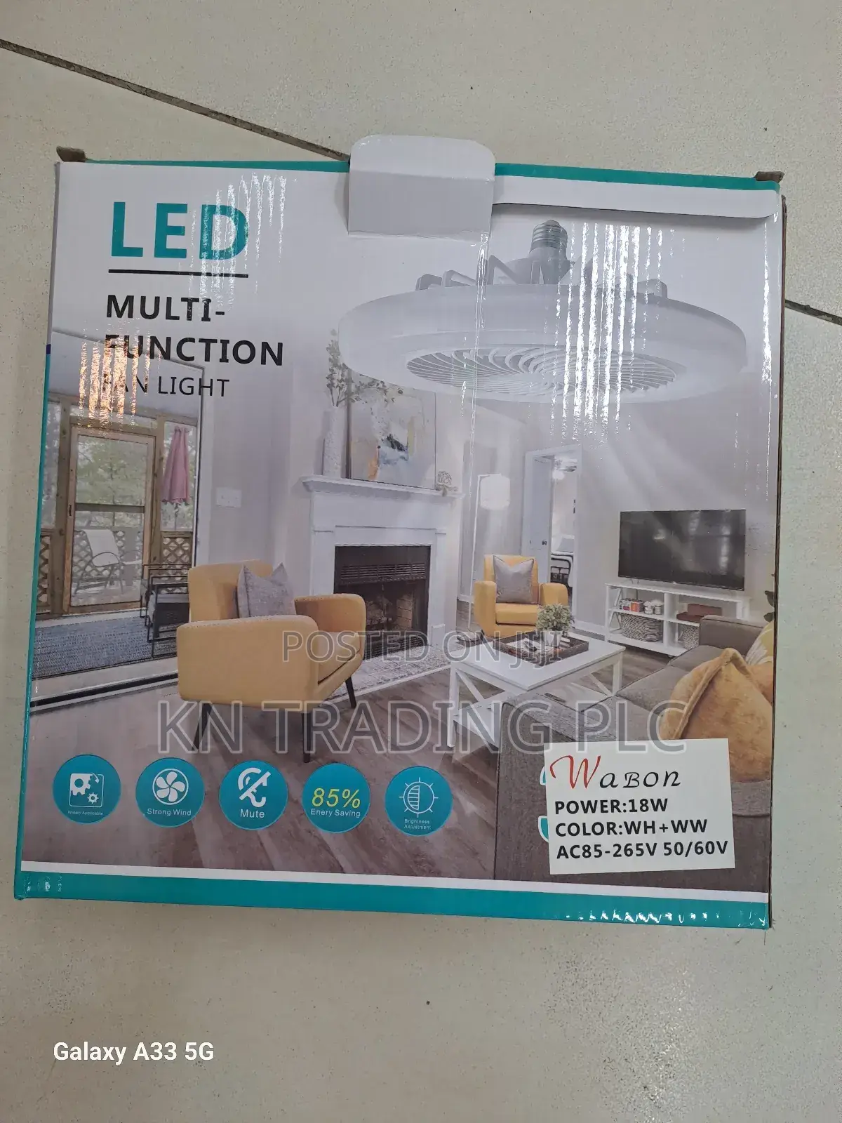 Multi Function Fan Light