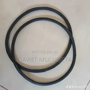 Photo - Autoclave Gasket