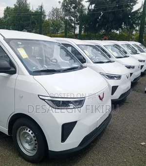 Photo - New Wuling EV80 2025 White