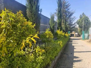 4bdrm House in Jakiros, Bole for sale