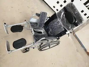 Wheelchair四川wheelchair為何wheelchair與會wheelchair有些wheelchair