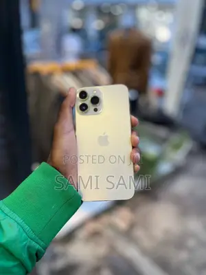 Apple iPhone 13 Pro Max 256 GB Gold