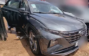 Hyundai Tucson 2022 Green