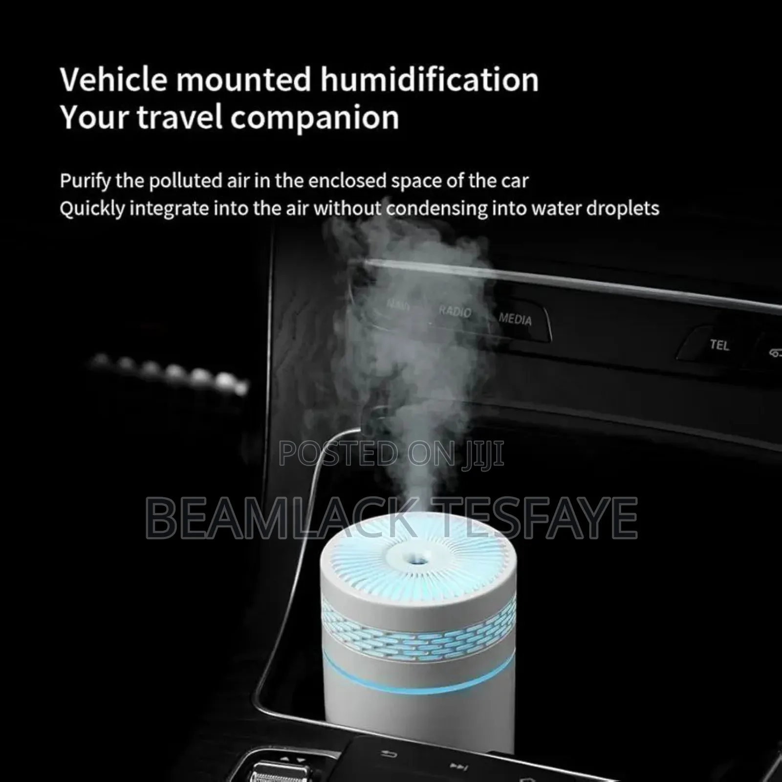 Ultrasonic Car and Home Humidifier