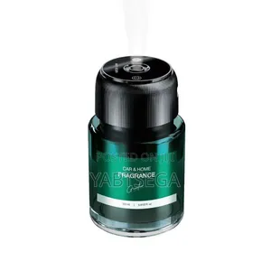 2-in-1 Combo Green Lion Fragrance Air Diffuser