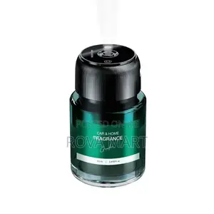 2-in-1 Combo Green Lion Fragrance Air Diffuser