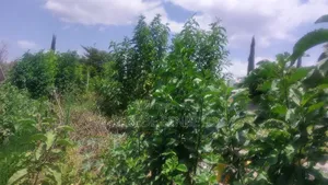 Photo - Land for Sale