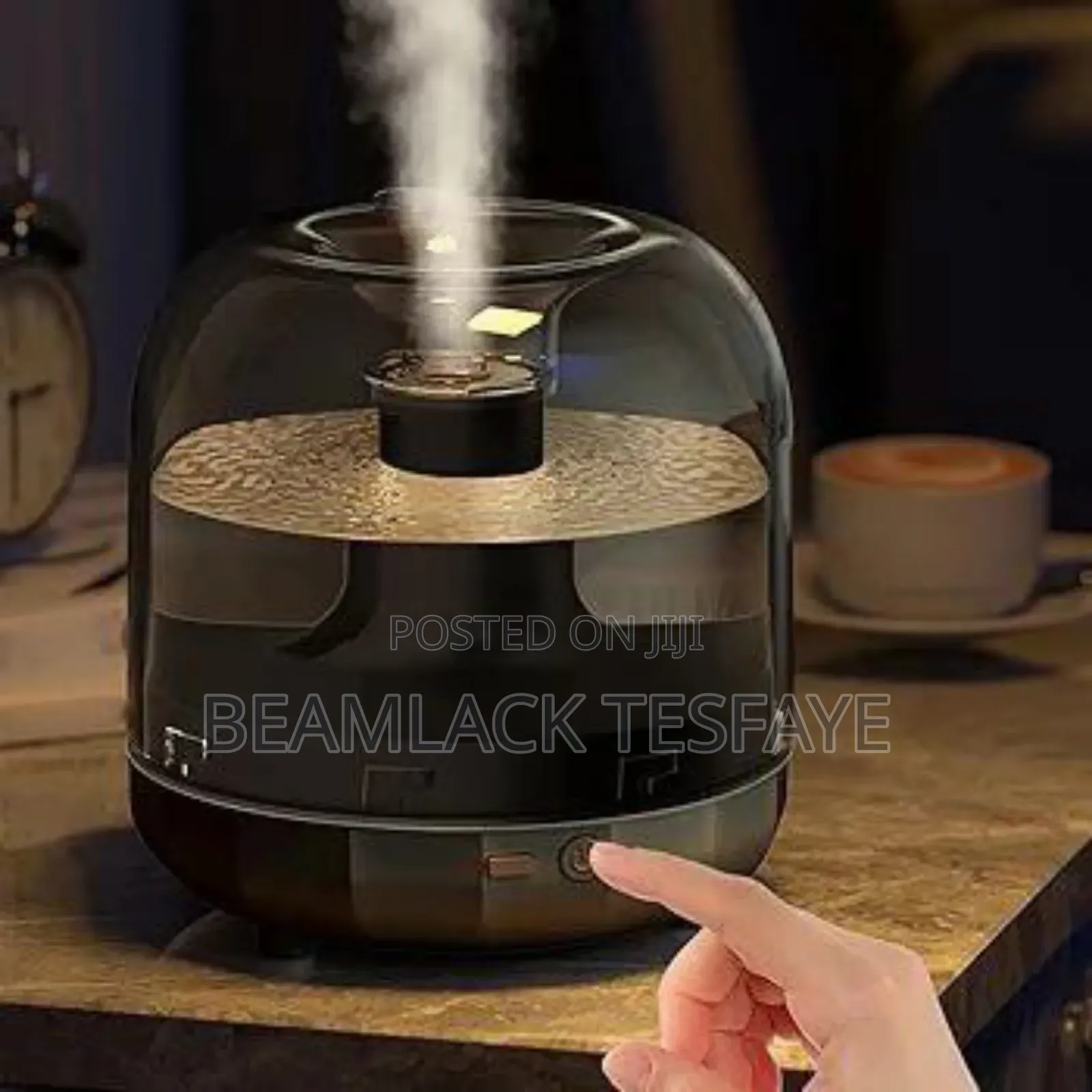 Artist Humidifier