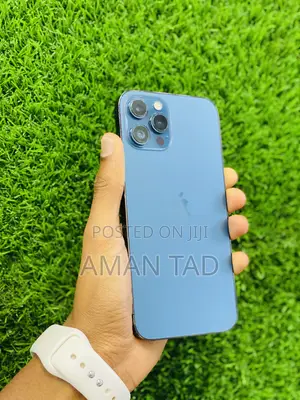 Apple iPhone 12 Pro Max 256 GB Blue