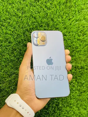 Photo - Apple iPhone 12 Pro Max 256 GB Blue