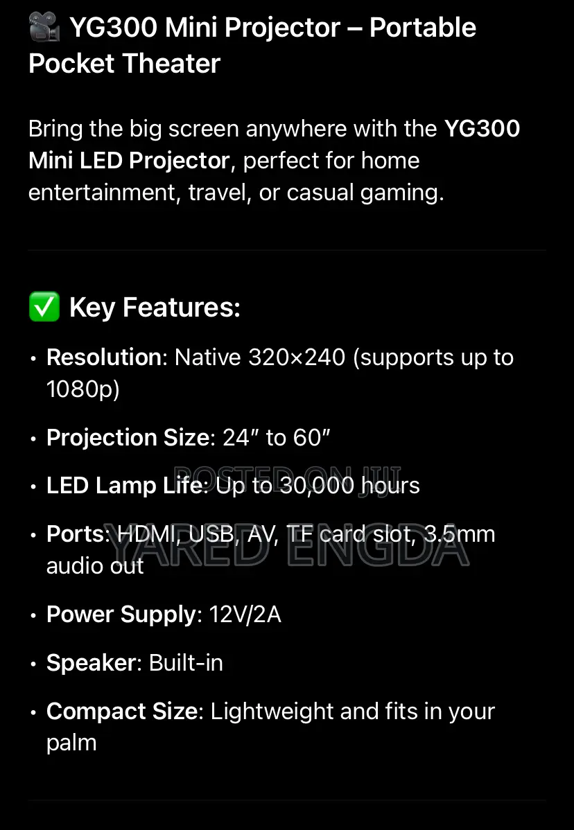 Mini Projector