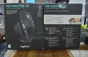 Photo - Mouse With Computer