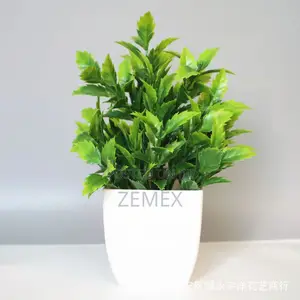 Photo - Mini Artificial Potted Plants / ትናንሽ ሰው ሠራሽ ተክል