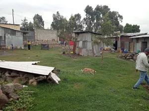 Photo - Property for Sale in Bole Bulbula