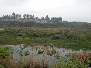 Photo - Big Land for Sale in Bole Bulbula Warda 12