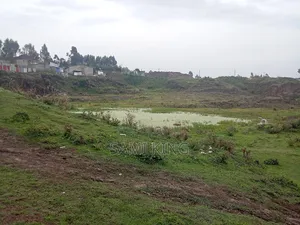 Big Land for Sale in Bole Bulbula Warda 12