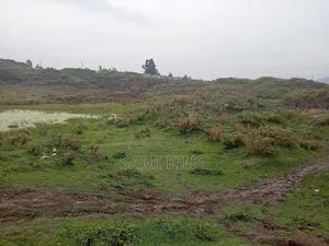 Big Land for Sale in Bole Bulbula Warda 12
