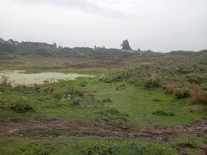 Big Land for Sale in Bole Bulbula Warda 12