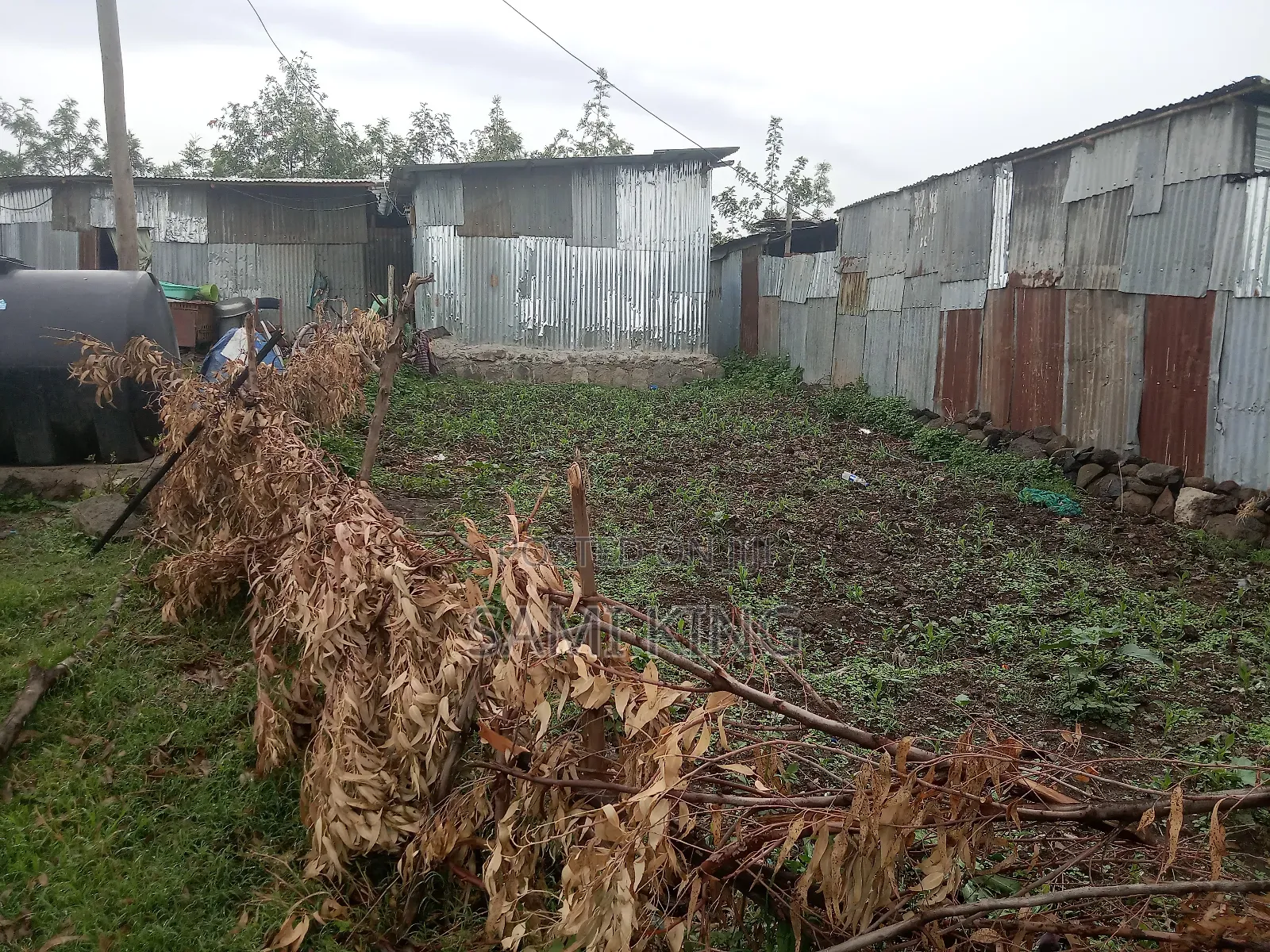 Land for Sale in Bole Bulbula Gabriel