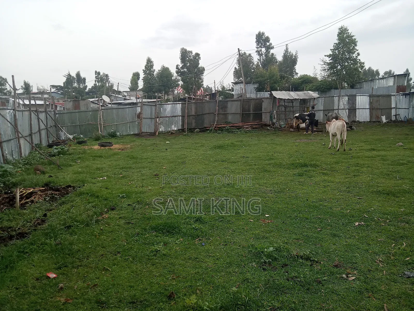Land for Sale in Bole Bulbula Gabriel
