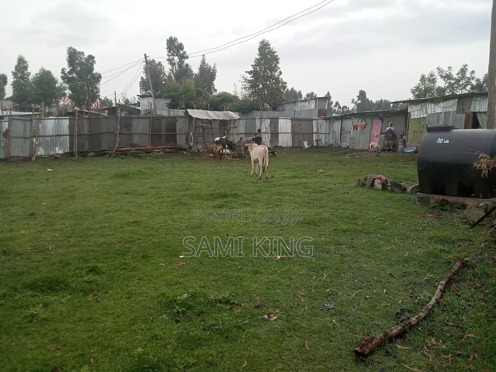 Land for Sale in Bole Bulbula Gabriel