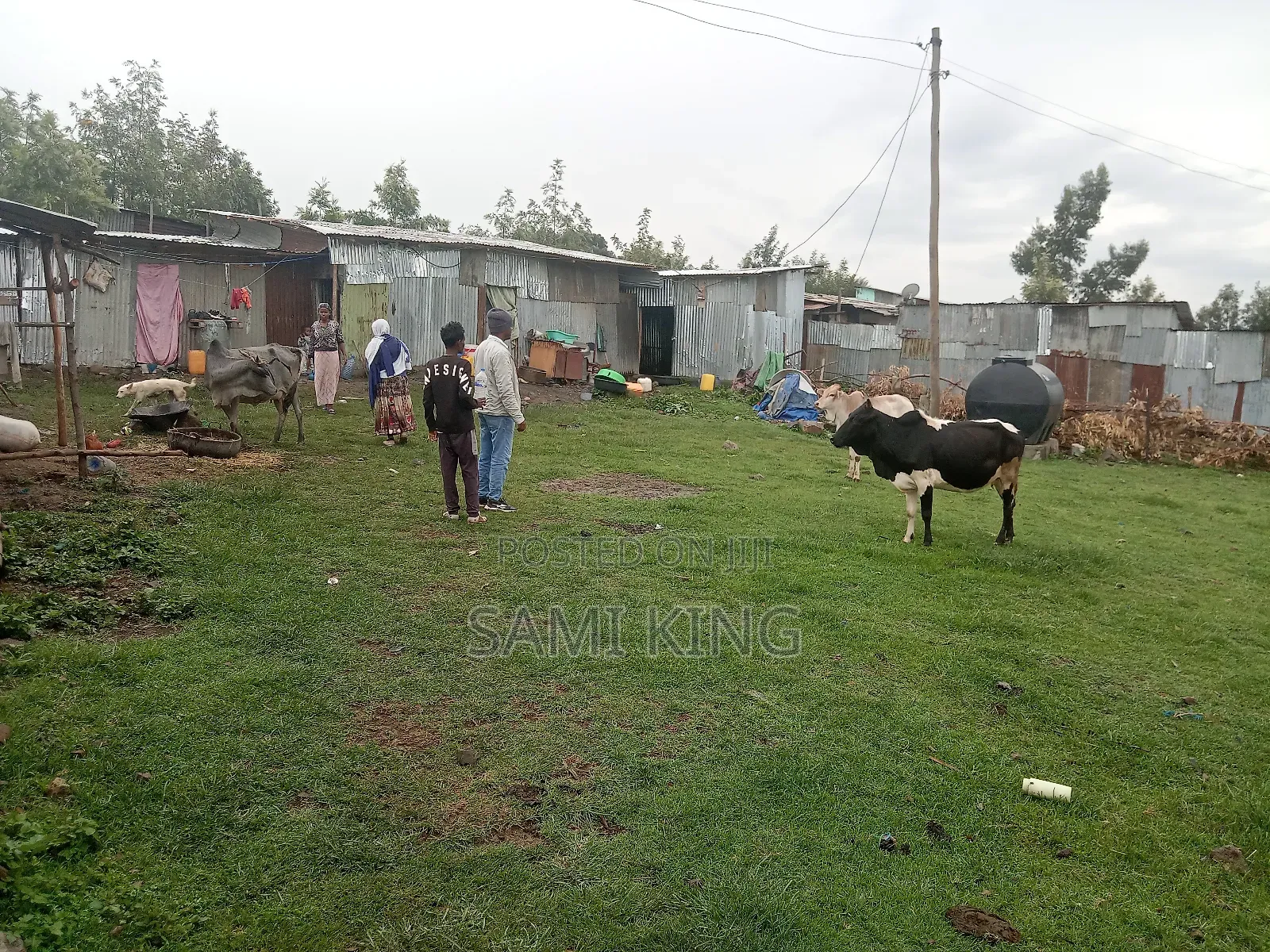 Land for Sale in Bole Bulbula Gabriel
