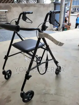 Walker+Chair*Walker, Activation Brake, Grey – Made in Europe