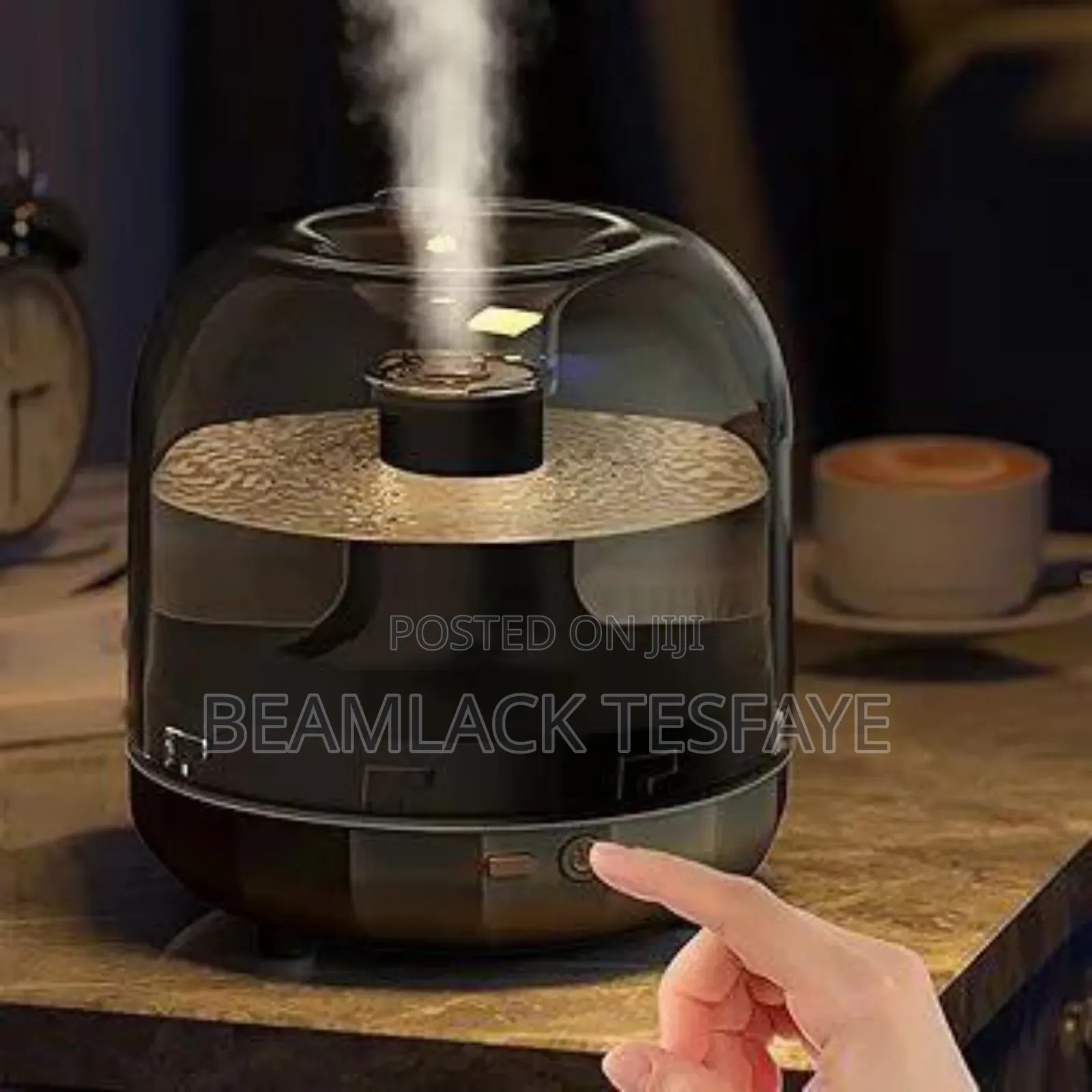 Artist Humidifier