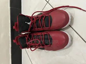 Jordan Flight Club 91'