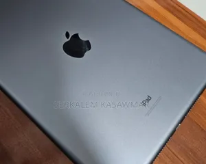 New Apple iPad 9.7 256 GB Silver