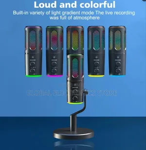 2 in 1 Podcaste Microphone and Computer Condenser Mic