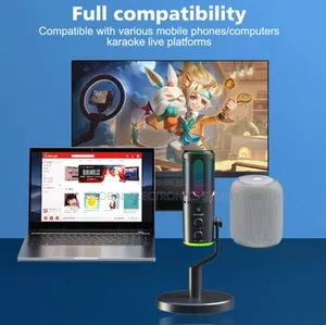 2 in 1 Podcaste Microphone and Computer Condenser Mic