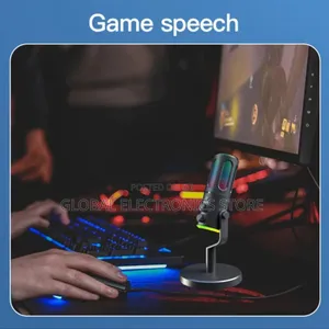 2 in 1 Podcaste Microphone and Computer Condenser Mic