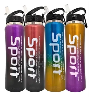 Stainless Steel Water Bottle With Straw