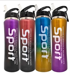 Stainless Steel Water Bottle With Straw