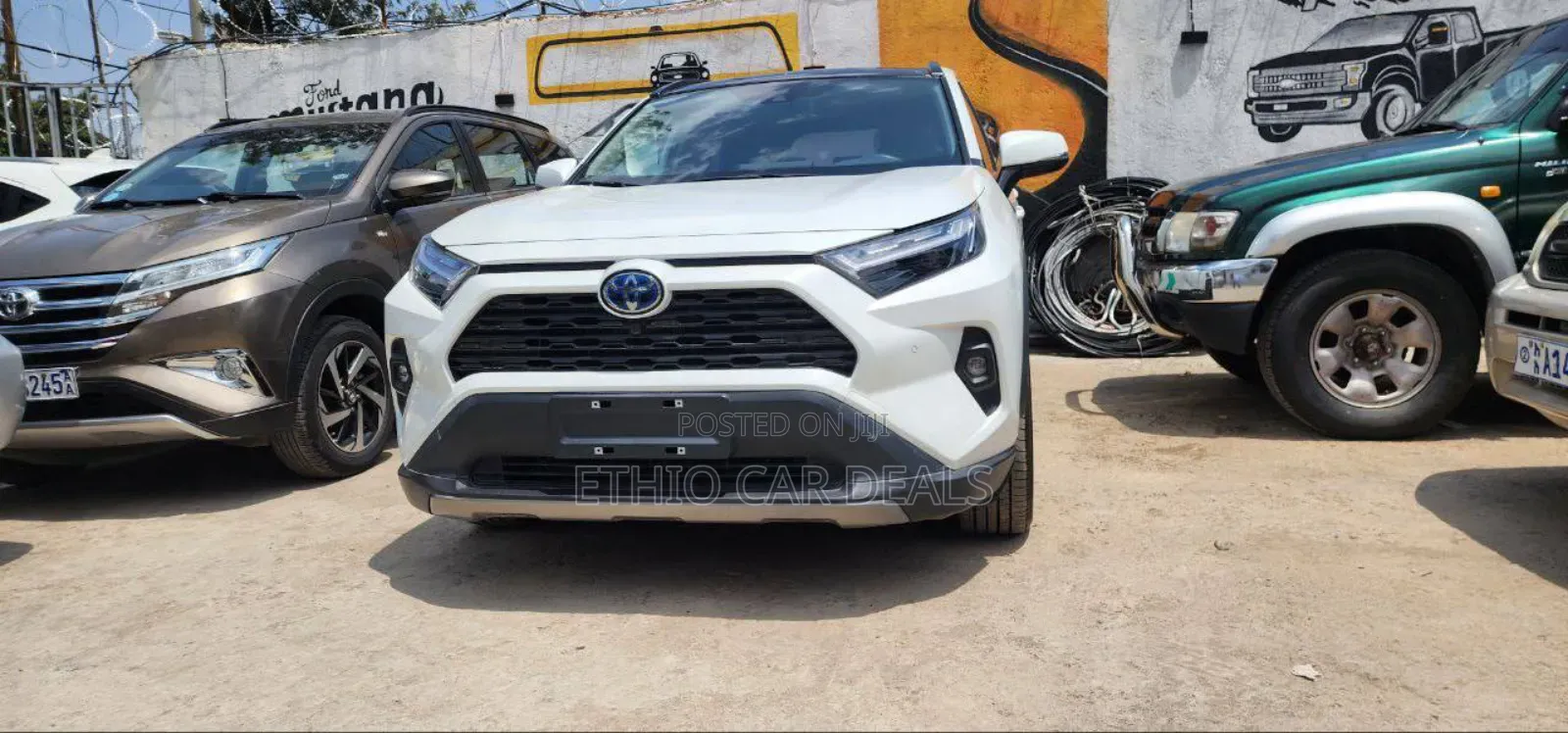New Toyota RAV4 2024 White